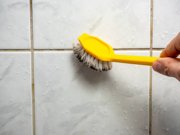 Best Emergency Mold Removal  in Newport Beach, CA
