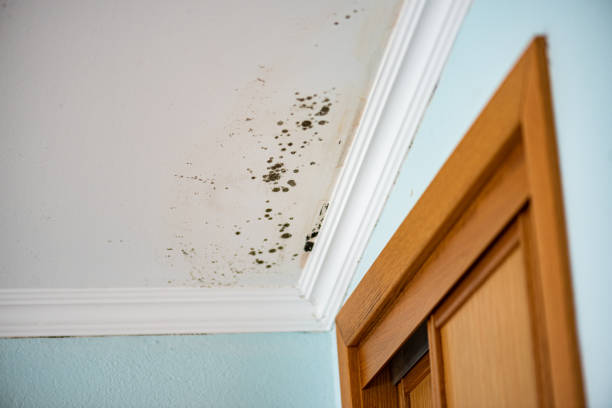 Water Damage Restoration in Newport Beach, CA
