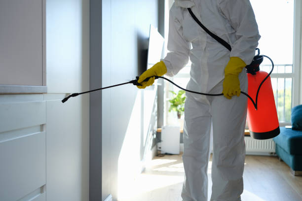 Best Mold Cleaning Services  in Newport Beach, CA