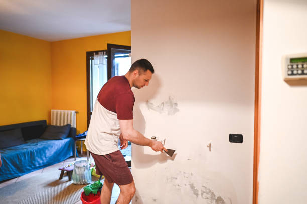 Best Crawl Space Mold Removal  in Newport Beach, CA